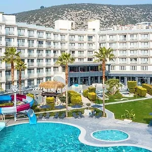Odelia Turkey